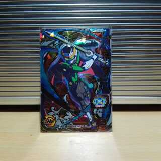 ワッサー様専用