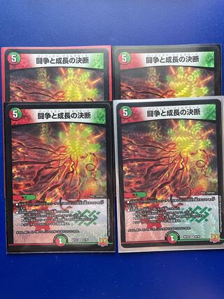 Fighting Conflict and Growth Decision VR 8/76