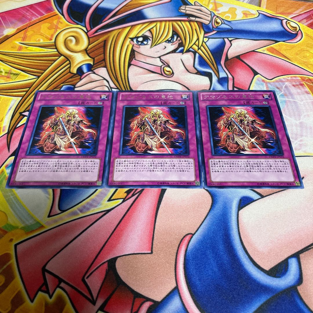 Amazoness Willpower Rare JP072 1枚