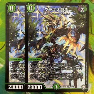 Ryuki Brachio SR S5/S11