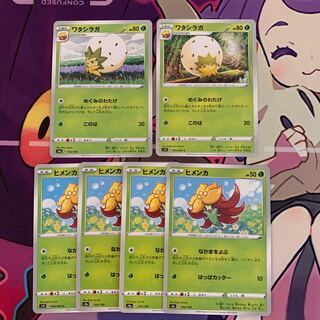 ヒメンカ  ワタシラガ