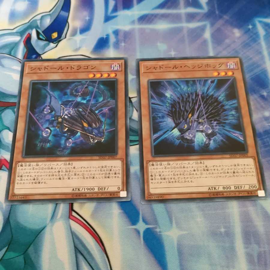 Shaddoll Dragon & Hedgehog 1枚