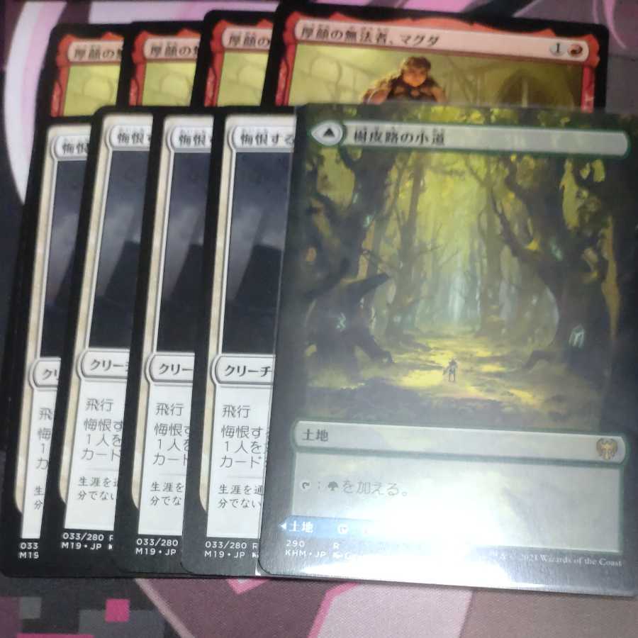 樹皮路の小道 レア 290/285