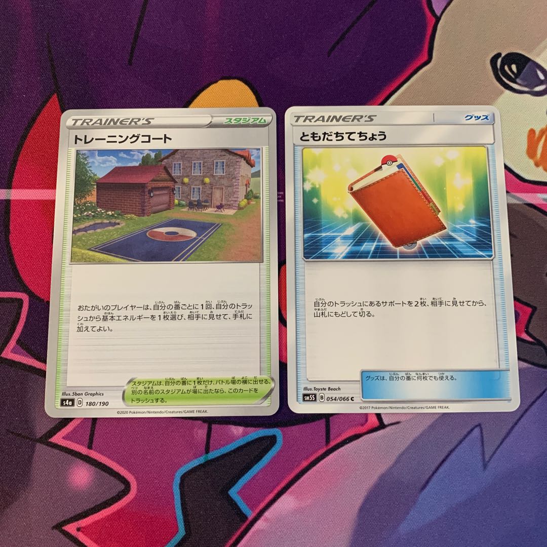 Pal Pad C 054/066 Training Court