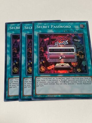 Secret Password English EU version 3 copies