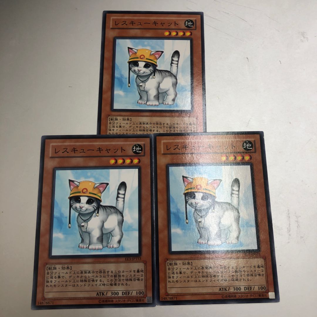 Rescue Cat Normal JP153 3