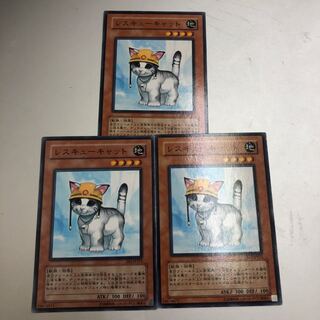 Rescue Cat Normal JP153 3