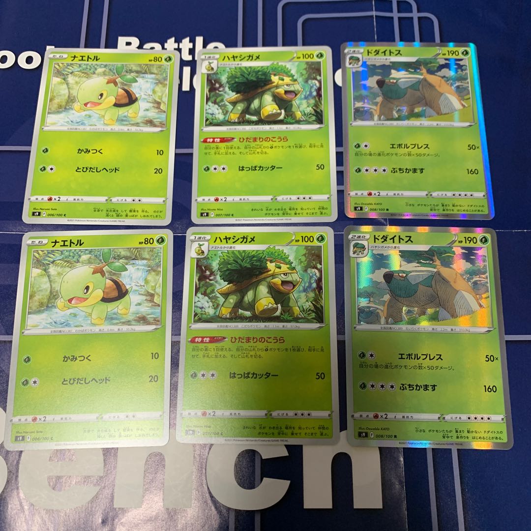 Turtwig Grotle Torterra