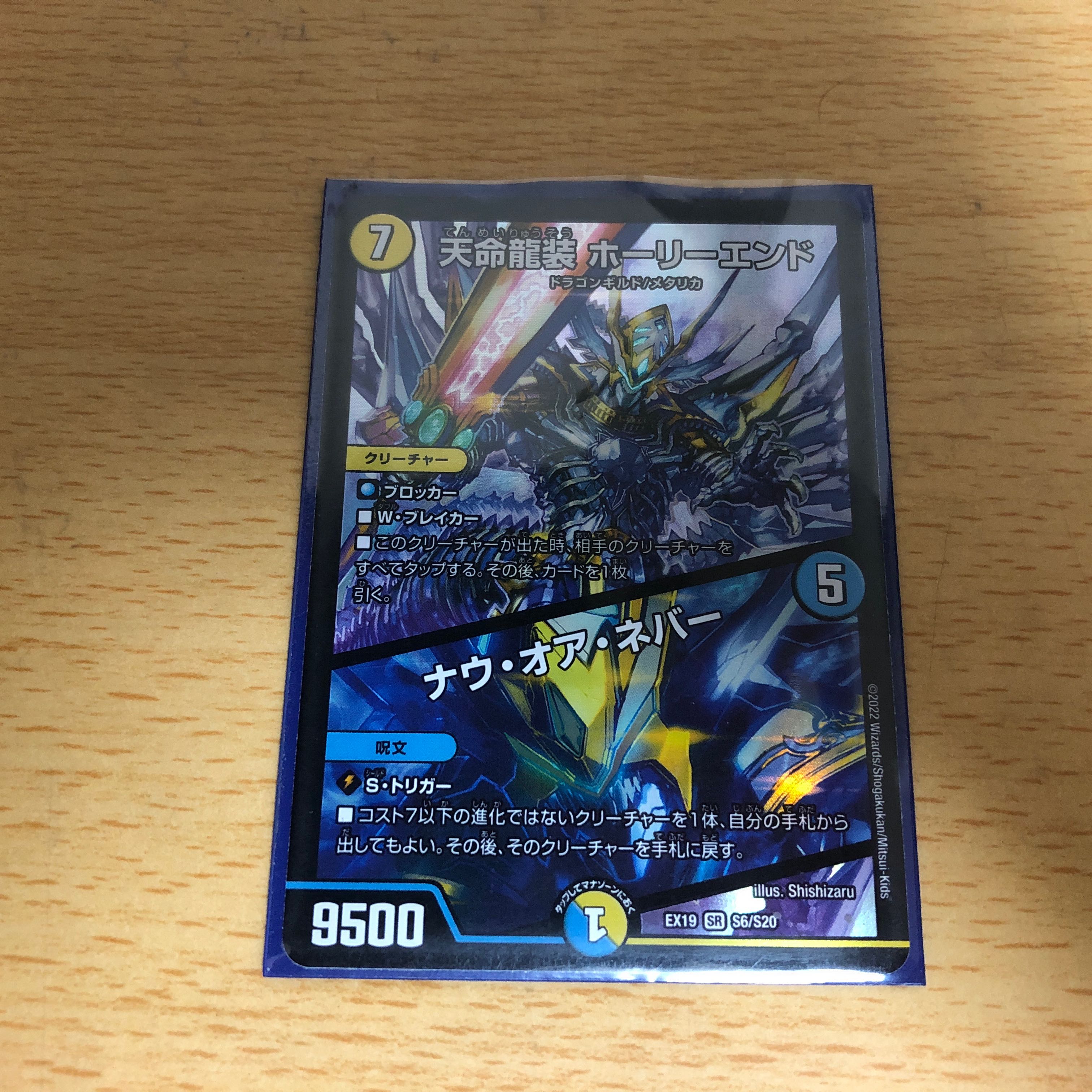 Tenmei Ryuzo Holy End/Nauoa Never