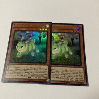 未界域のジャッカロープ ウルトラレア JP024