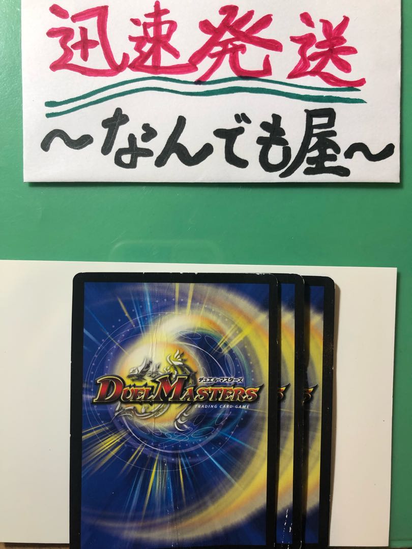 The item is a "translation item". Deszaak Multi-species Sikh 3-piece set