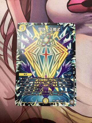 Katajuno Shojaku Z R 13/94 1 piece