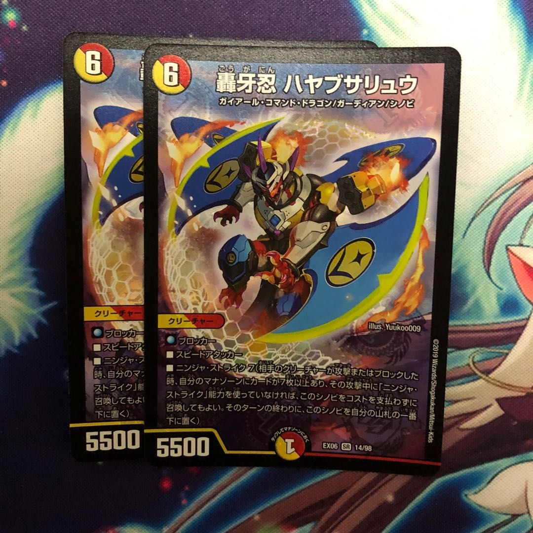 ハヤブサリュウ 2枚セット