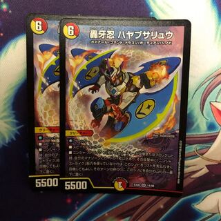 ハヤブサリュウ　2枚セット