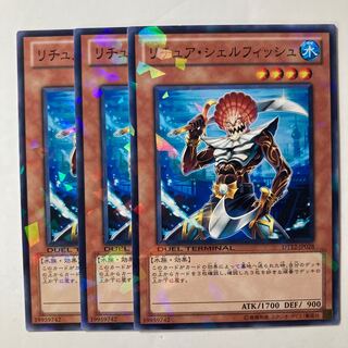 6228 リチュア・シェルフィッシュ ノーマル JP028