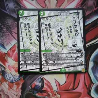 Life is the soul of rebirth