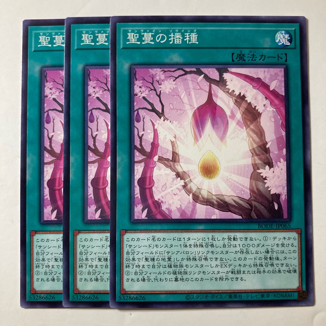 6250 聖蔓の播種 ノーマル JP065