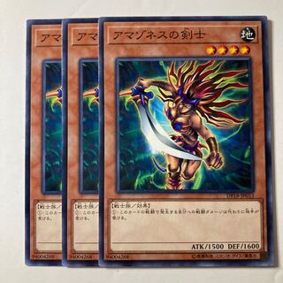 Amazoness Swords Woman ☆8558