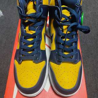 NIKE DUNK HIGH ミシガン 27cm ダンク 27cm
