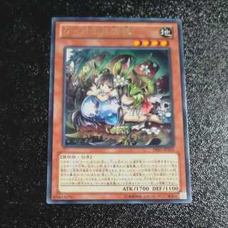 Traptrix Dionaea rare JP025 [Mokurindo