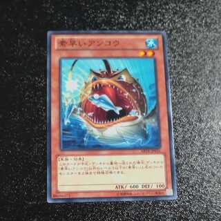 Nimble Angler Normal JP031 [Korindo