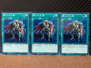 [Popotan] Yu-Gi-Oh! 8812 The Warrior Returning Alive 3 cards Normal