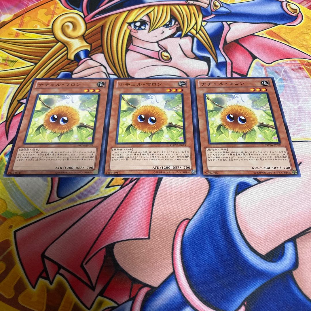 ナチュル・マロン ノーマル JP029 1枚