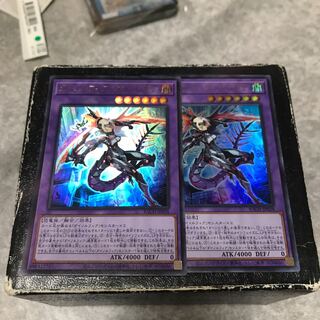 Dinolfia kentregina, 2 ultra-rare.