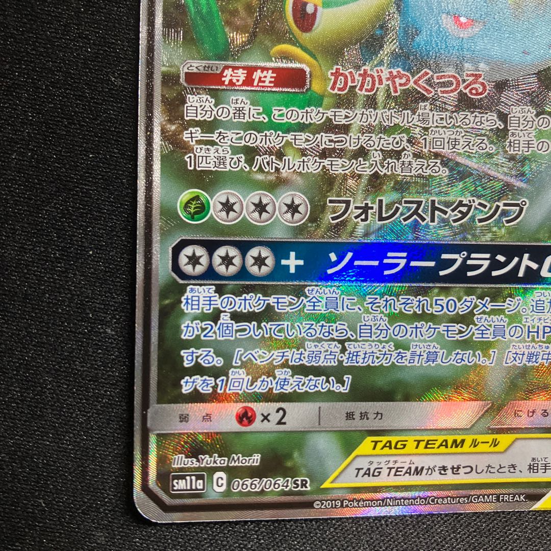 Venusaur & SnivyGX SR 066/064 SA