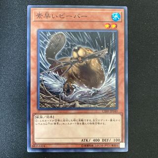 Nimble Beaver Normal rare JP040