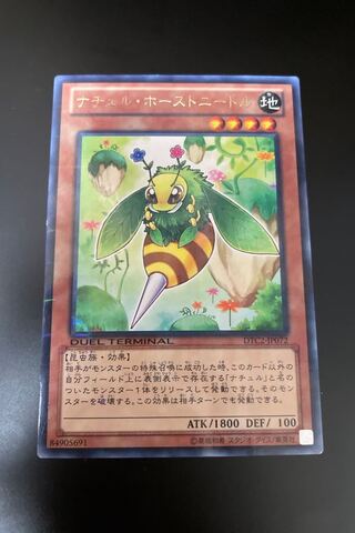 ナチュル・ホーストニードル