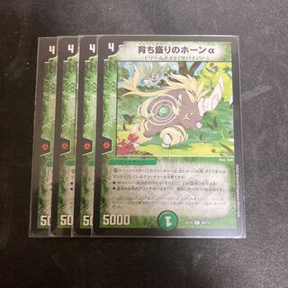 Growing horn alpha C 68/75