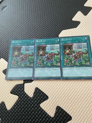 That Grass Looks Greener 3 copies