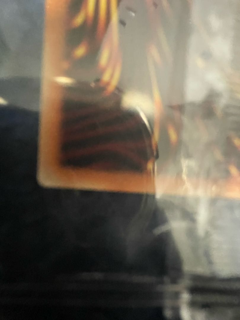 Winners Black Magician Ultra 25TH-JP001 + Black Magician Girl Ultra HC01-JP003