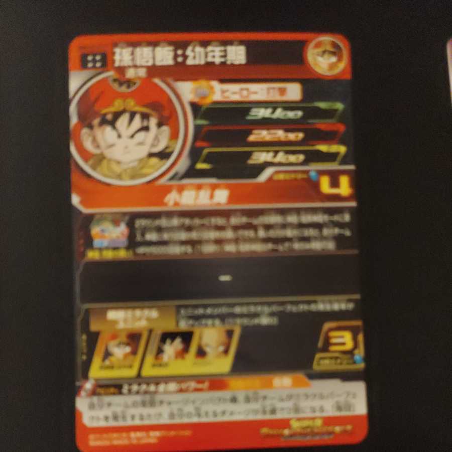 ニドラ様専用 1枚