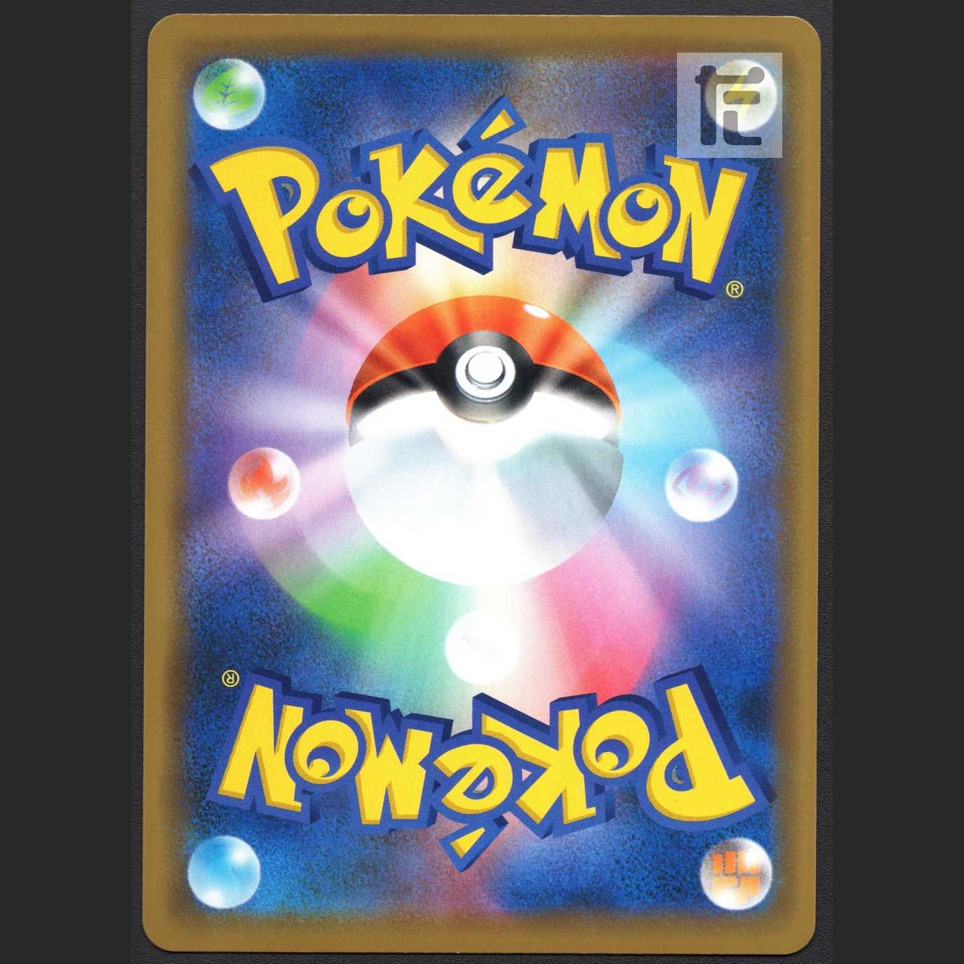 Pikachu playing in Umi [near] Promo/Management:MP1481