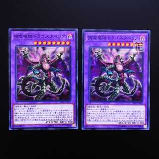 Predaplant Dragostapelia normal, set of 2 / Management:MY0344