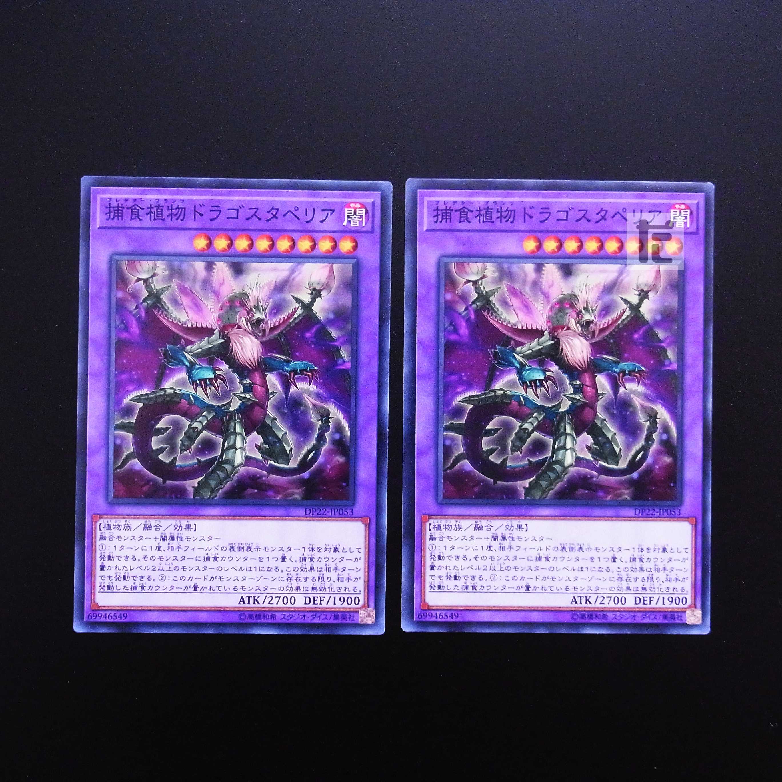 Predaplant Dragostapelia Normal, set of 2 / Management:MY0342