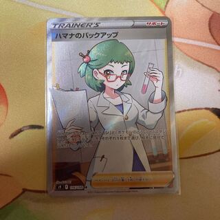 ハマナのバックアップ SR 116/100