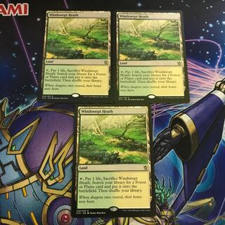 3枚セット 吹きさらしの荒野 Windswept Heath