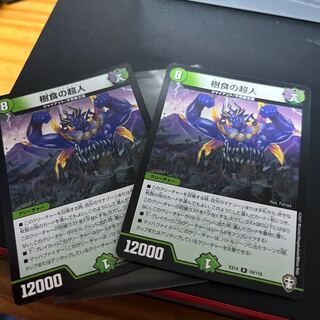 Psychic person of arboreal food R 19/110