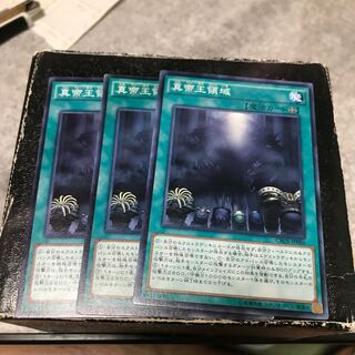 真帝王領域 ノーマル3枚