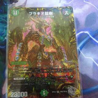Brachio Dragon Tree (20th Silver Treasure)