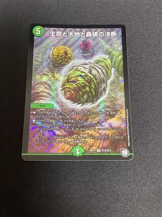 Life Life, Earth and Roaring Decision SR S12/S12