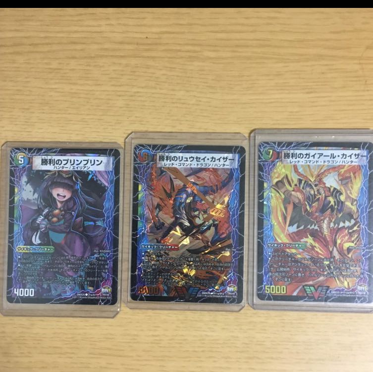 勝利のガイアール・カイザー