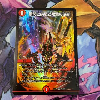 The Decision of Twinstrike and Twinstrike VR 7/102