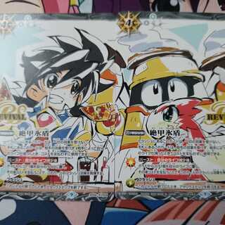 一番星のレイ＆コックのソルト絶甲氷盾