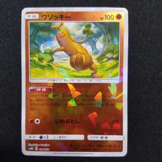 ウソッキー みちをふさぐ ミラー エクストラレギュレーション 1枚