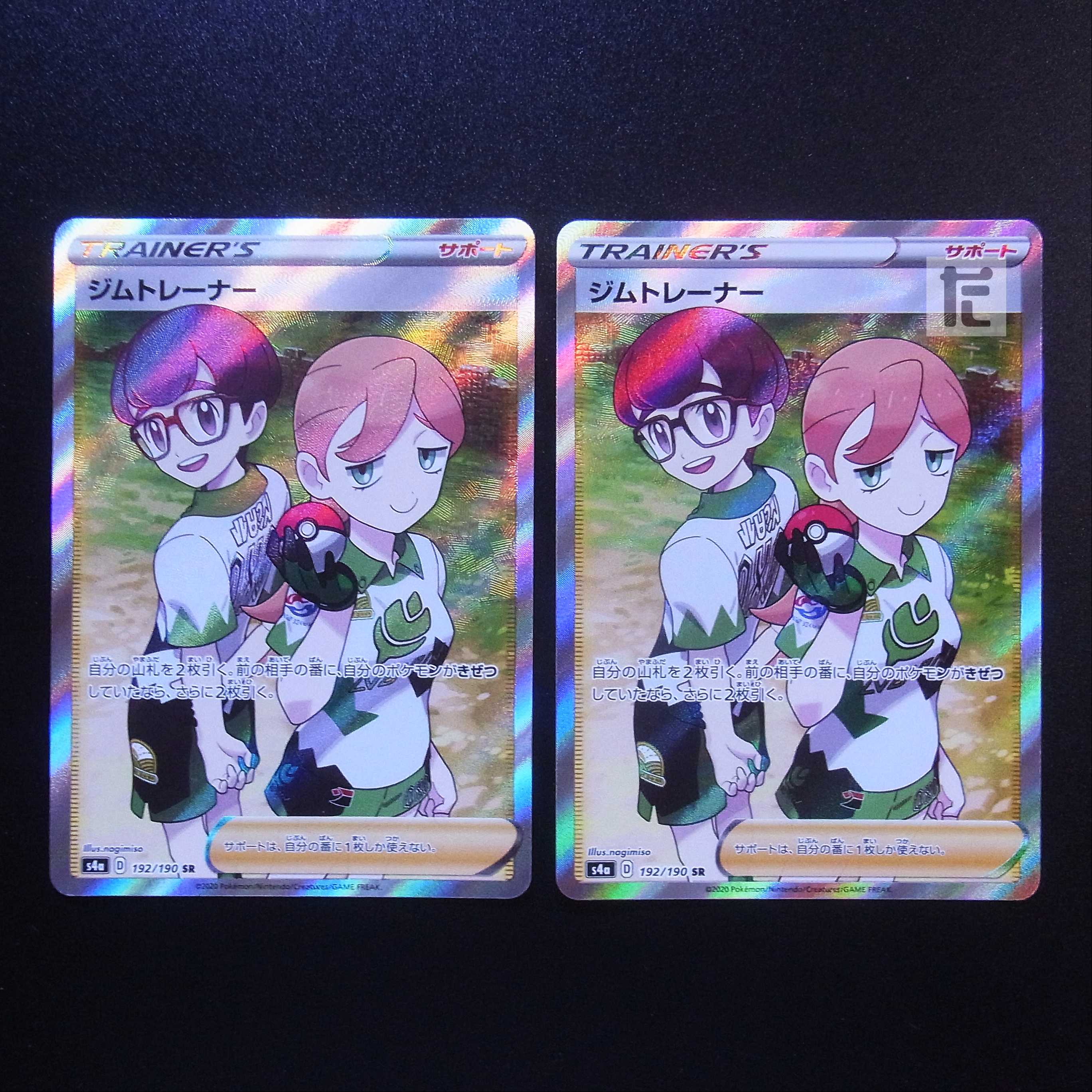 Gym Trainer SR Set of 2 / Management:MP1616