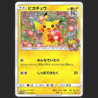 ポケモン - ポケモンカード 20th アニバーサリープロモピカチュウ 224/SM-P ポケモン - ポケモンカード 20th アニバーサリープロモ